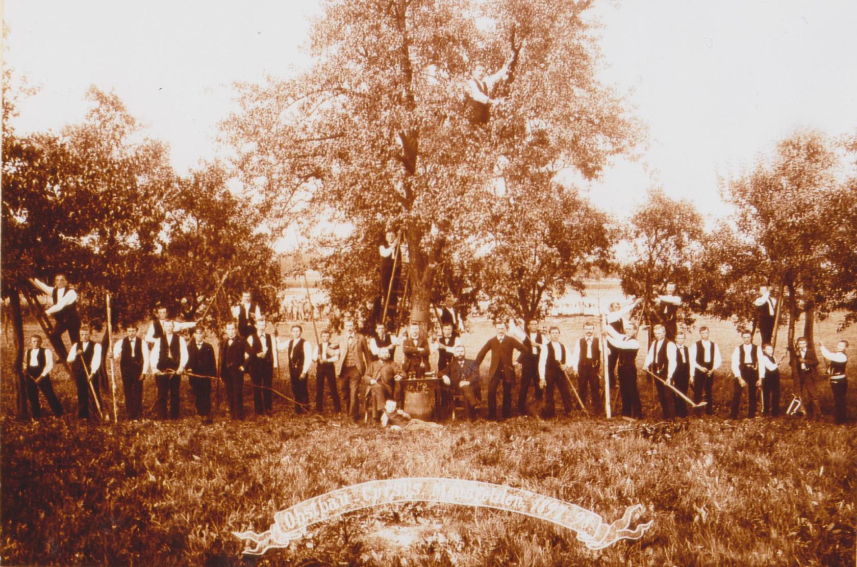 gartenbauvereinalt.jpg