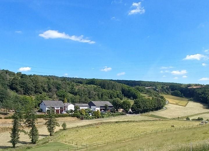 hermannshof_2025.jpg